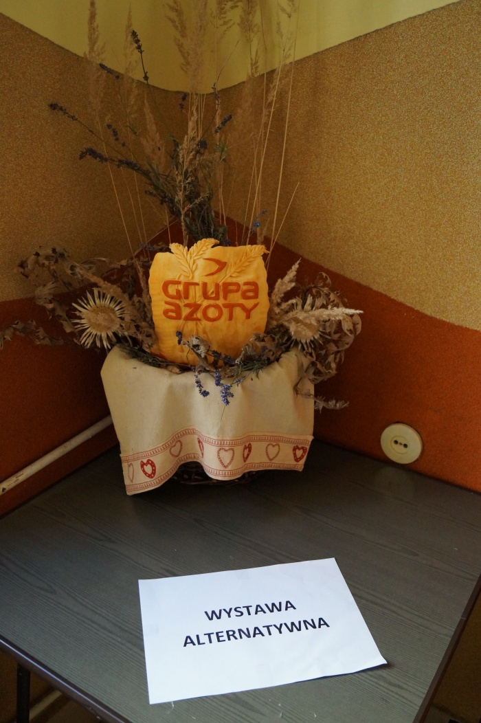 Wystawa alternatywna