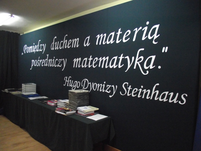 Podsumowanie Steinhausa