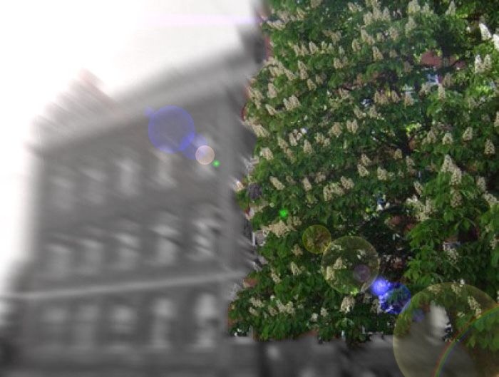 czas na maturę 2013