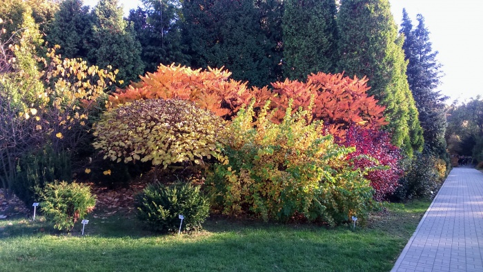 Wycieczka do Zamościa 2019