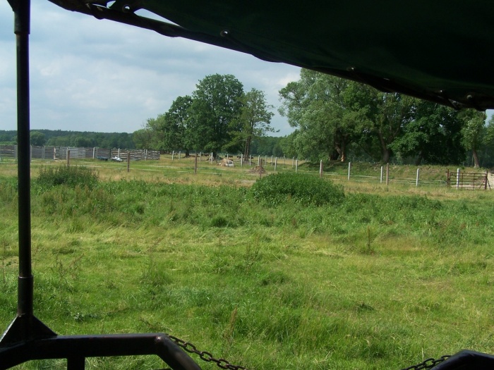 Klasa 1 f Sandomierz