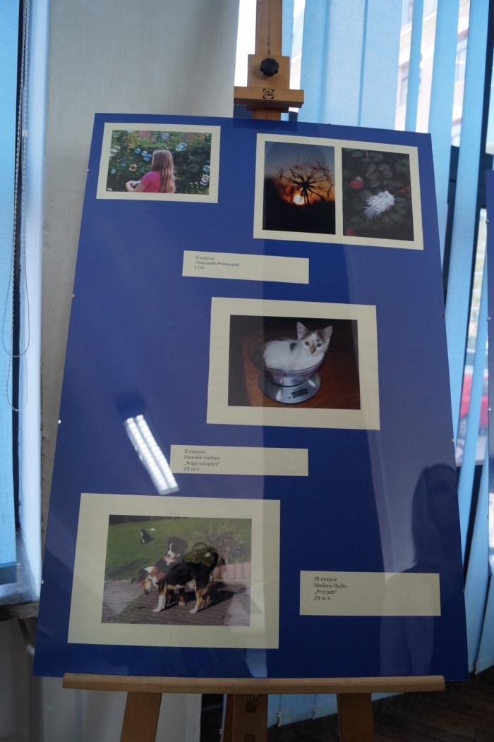 Miłe Życia drobiazgi