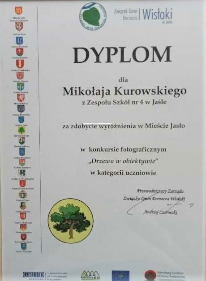 Sukcesy Mikołaja Kurowskiego