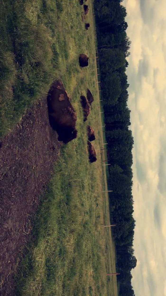 Klasa 1 f Sandomierz