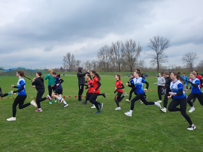 Powiatowe biegi przełajowe - LICEALIADA 2025