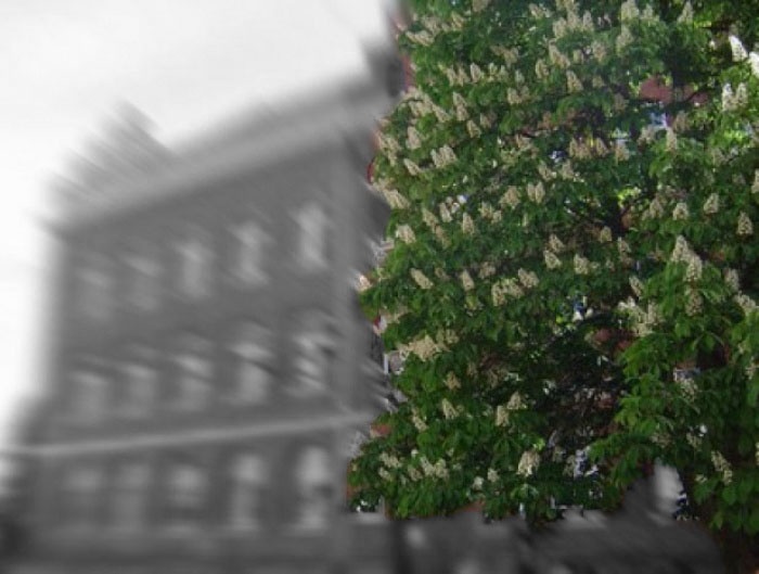 czas na maturę 2013