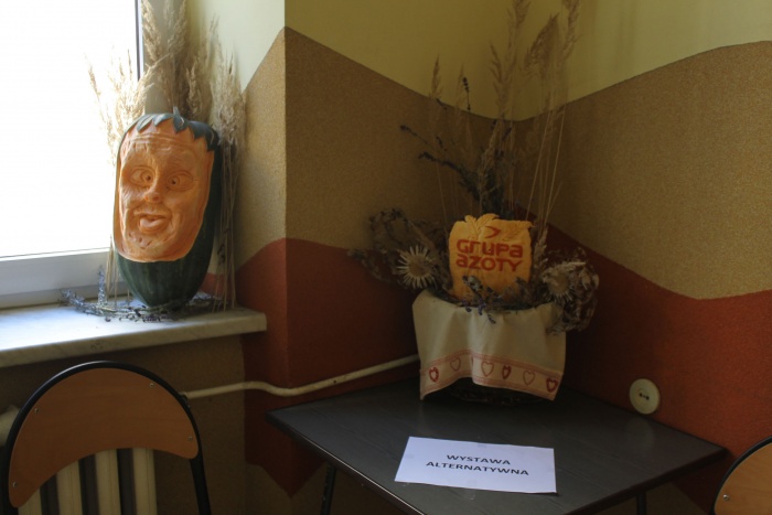 Wystawa alternatywna