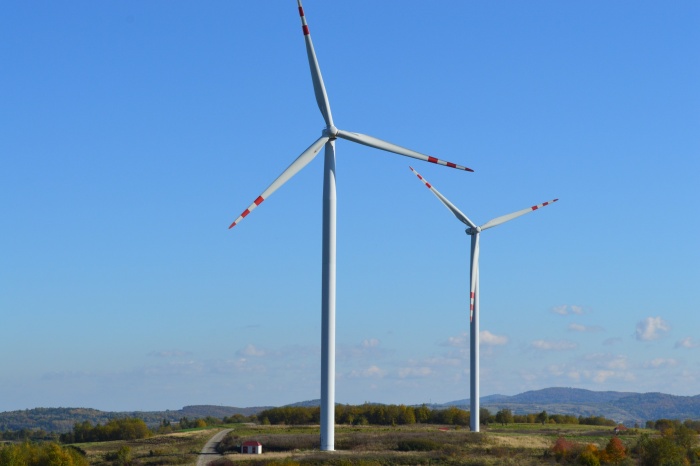 Konferencja ekologiczna