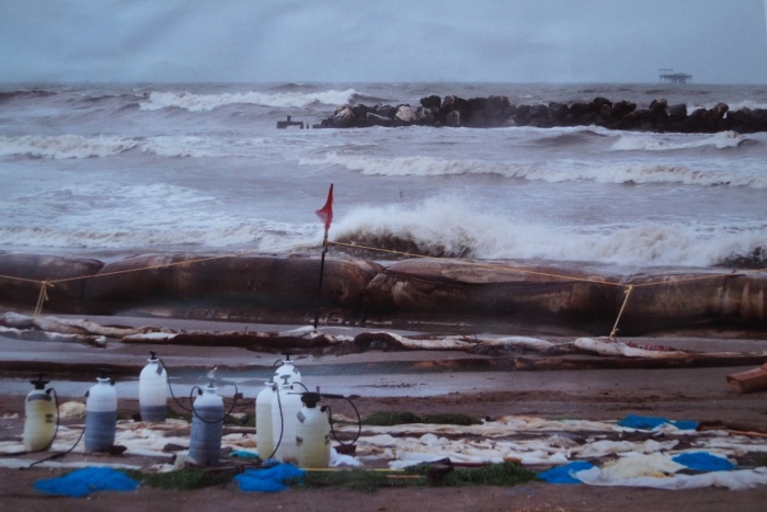 Konkurs ekologiczny 2014