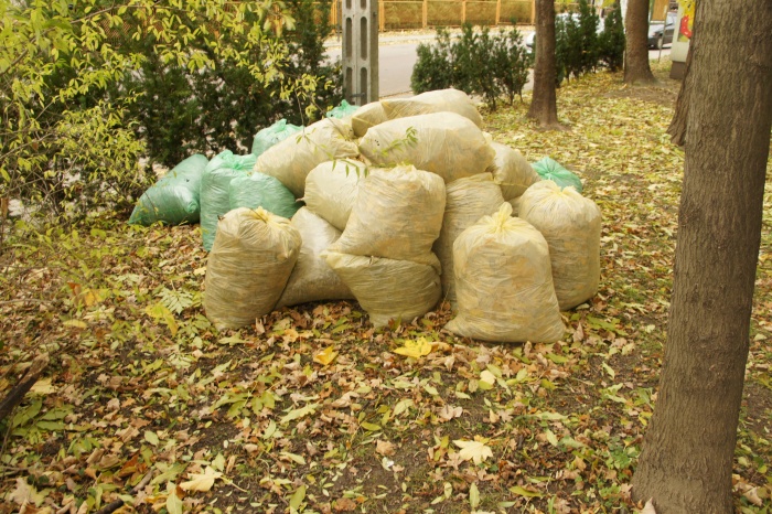 Porządkowanie cmentarza