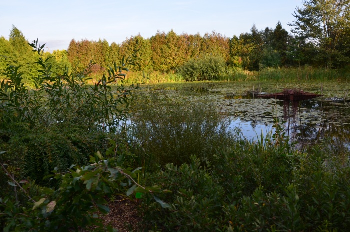 Przemyśl, Krasiczyn