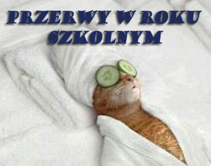 Newsy