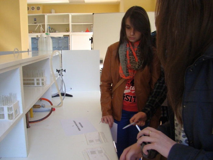 Tydzień akademicki w WSZ