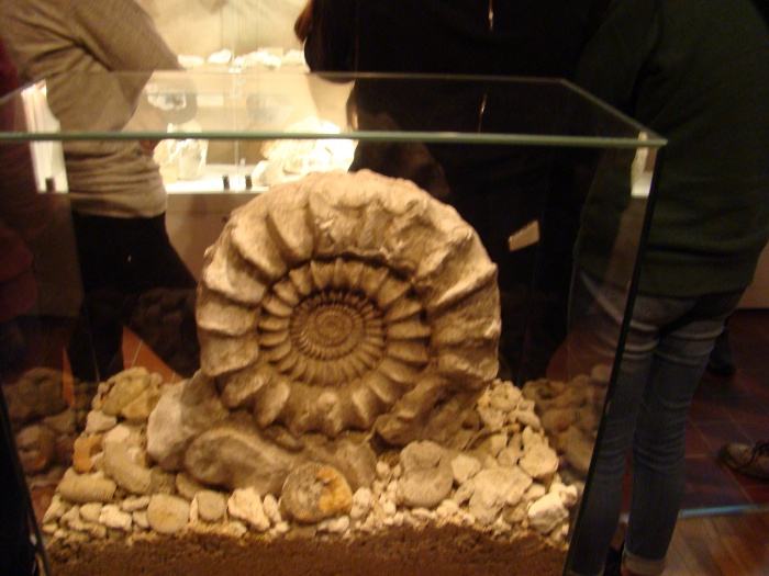 Wycieczka Ojców 2016