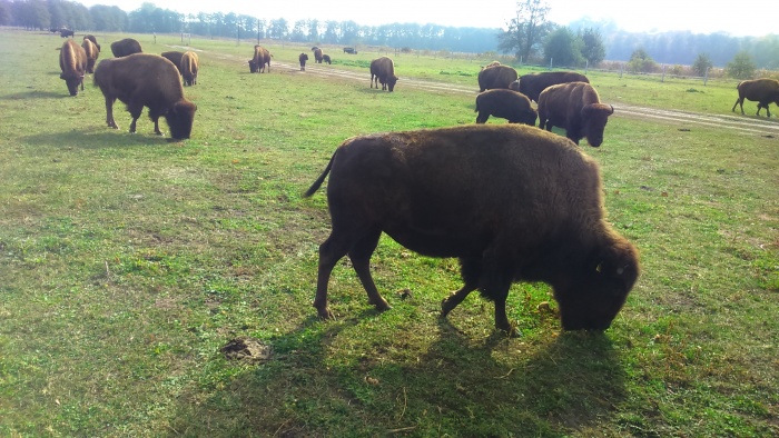 Wycieczka Sandomierz i okolice