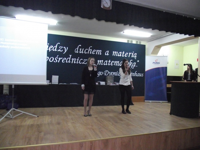 Podsumowanie Steinhausa