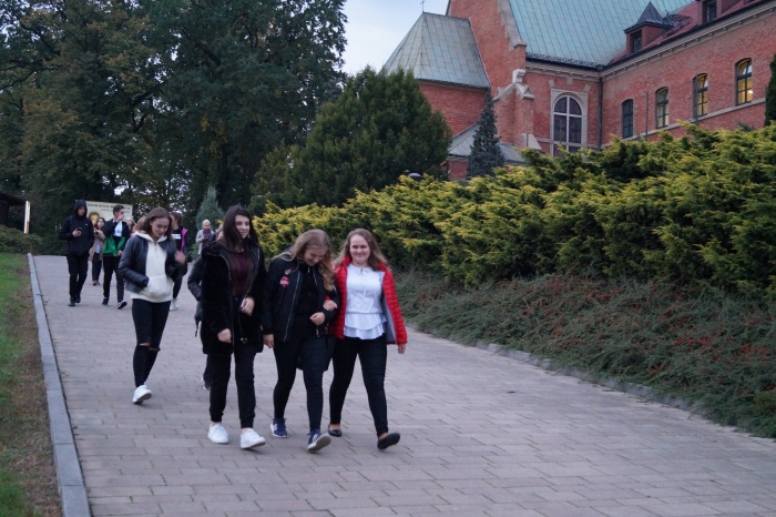 Pielgrzymka klas maturalnych 2019