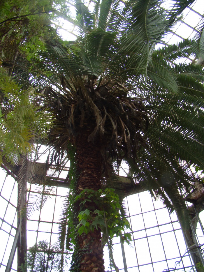 Ogród botaniczny Kraków