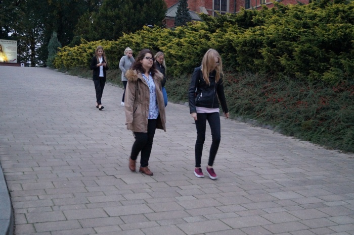 Pielgrzymka klas maturalnych 2019