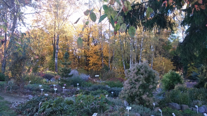 Wycieczka do Zamościa 2019