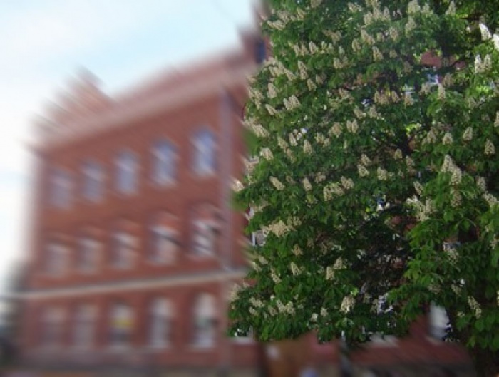 czas na maturę 2013